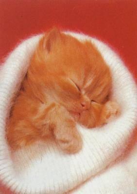 9ca5b34680_616293_o2