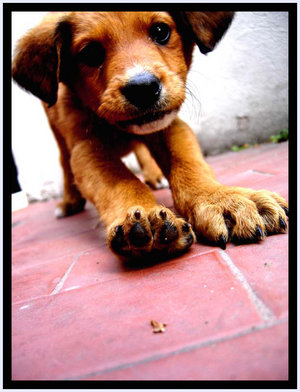 cd28071c19_12914505_o2